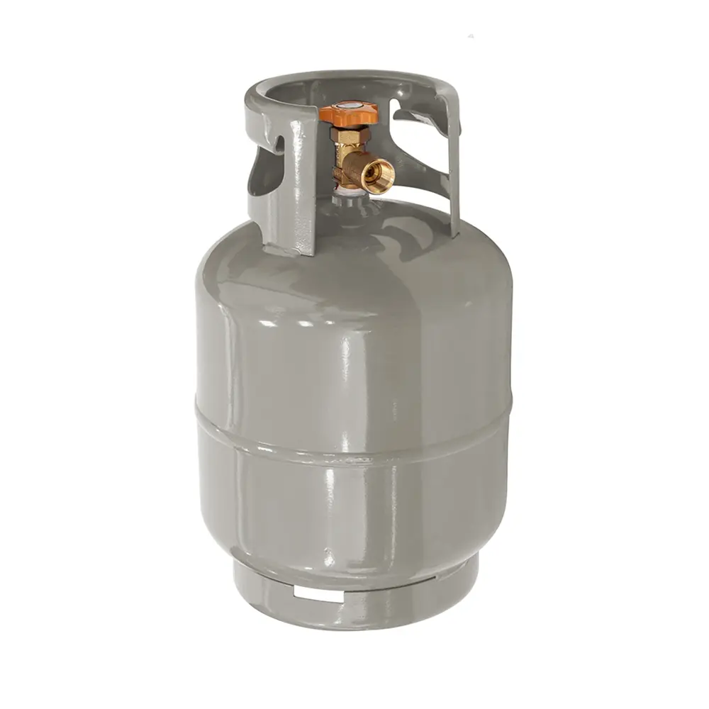 Liquefied petroleum gas (10 kg / 22 lb)